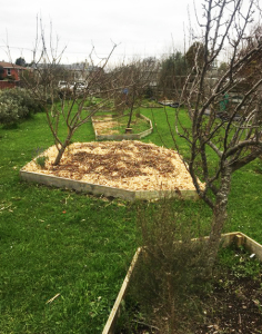 Wonky orchard beds
